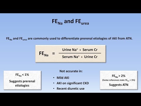 Acute Kidney Injury (Part 2/3 - Diagnostic Evaluation)