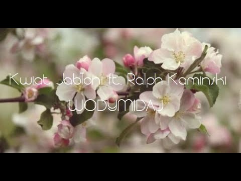 WODYMIDAJ - Kwiat Jabłoni ft  Ralph Kaminski (Lyric MSP Video)