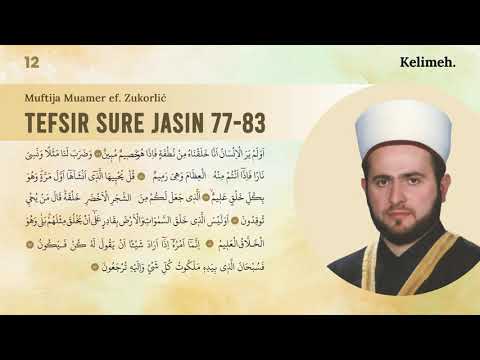 Muftija Muamer ef. Zukorlić: Tefsir sure Jasin 77-83