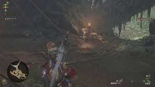 MHWilds ソロ　2 オプション設定と太刀練習