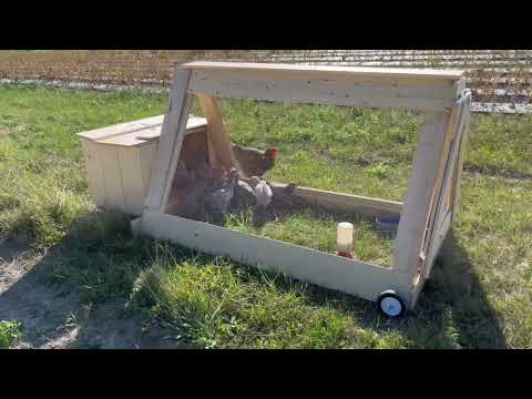 New Chicken coop #chicken #creamlagbarchicken #chickencoop #hobbyfarming #organicfarming #canadafarm