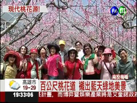 梅峰"桃花隧道"開 可以賞花了!