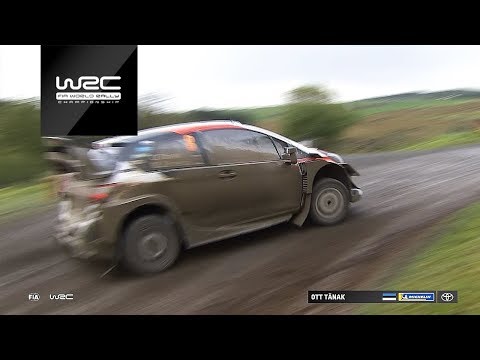 WRC - Wales Rally 2019: Wolf Power Stage Highlights