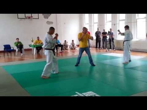 Kyokushin Trofej Beograda 2013 Steva Milosavljevic VS Vanja Konvalinka