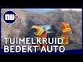 Auto’s in VS volledig bedolven onder berg tuimelkruid | NU.nl