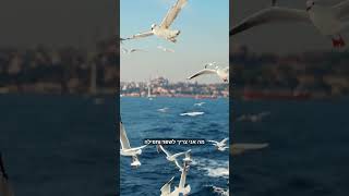 התבודדות זה התבוננות ותפילה אלקים תעזור לי לשפר את זה (הרב אברהם מלמד) - התמונה מוצגת ישירות מתוך אתר האינטרנט יוטיוב. זכויות היוצרים בתמונה שייכות ליוצרה. קישור קרדיט למקור התוכן נמצא בתוך דף הסרטון