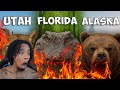 FlightReacts To The Deadliest Animal In Each US State
