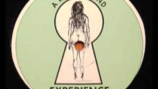 Quantum Leap - Trance Planter
