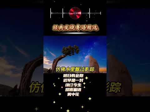 Hi Res纯美女声：粤语金曲精选，经典旋律，音乐的极致之旅 #经典老歌 #车载音乐 #用心聆听嵌入灵魂的音符 #伤感音乐汇#用心聆听音乐的美妙旋律 #HiVi试音#无损音乐#分享好听歌曲#爱音乐爱