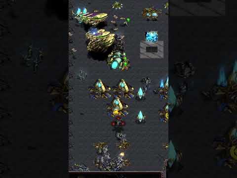 All for show #protoss #carriers #starcraftbroodwar