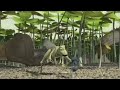 A Bug S Life Animation Test