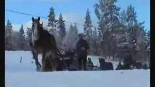 preview picture of video 'On their way to The Røros Fair 2007 - Part 4 of 4'