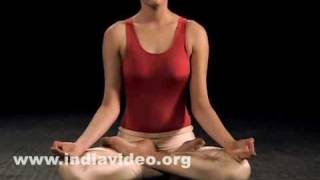 Padmasana (The Lotus pose)