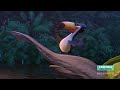 Rio 2 Nick At Nite Credits