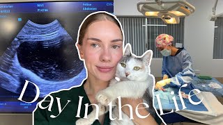 A Day in The Life of an Aussie Veterinarian | weekend shift, surfing, cooking