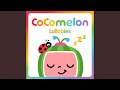 Itsy Bitsy Spider Instrumental Version