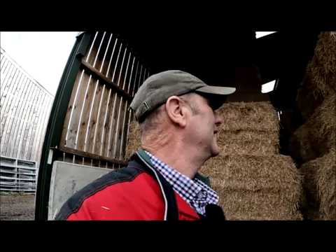 01/02/ 26  My Neighbours need some straw.