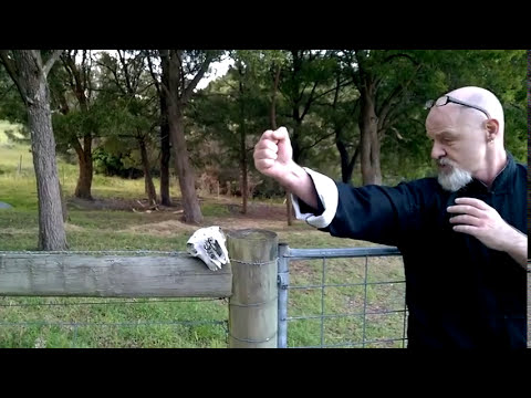 The Power of Focus  |  Grandmaster Wolf ©