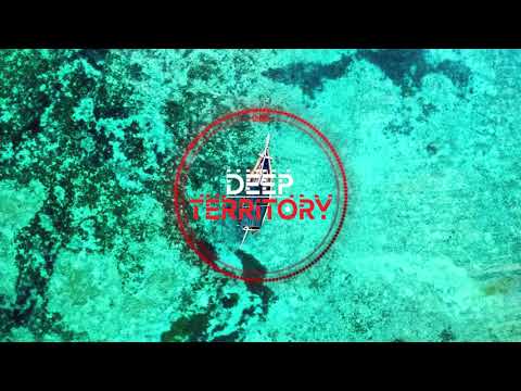 Vasily Goodkov,  Ann Polsh & Lessya - Rid Of You (VetLove Remix)