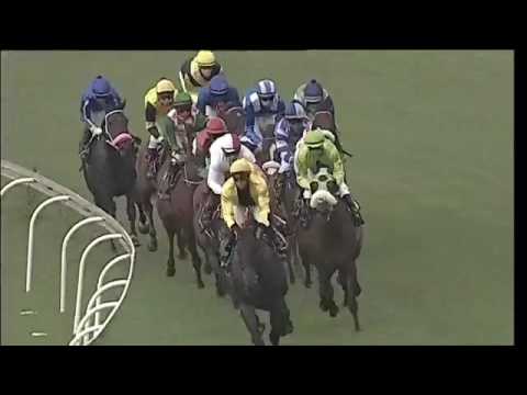 2017.03.04 Acacia Handicap - Nother Russia