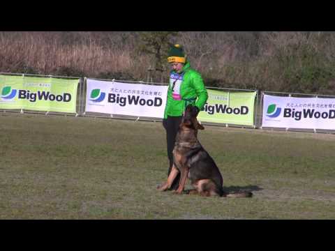 Miran v Kyoto Masuda B90