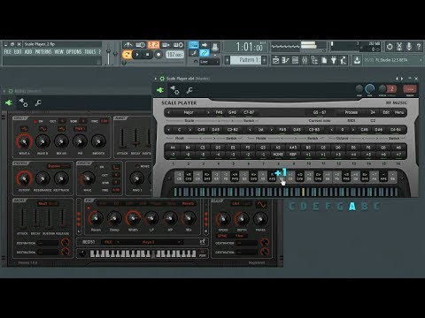 Scale Player - Introduction