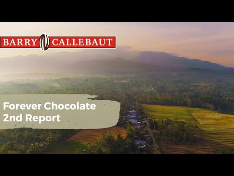 44% of Ingredients Sustainable | 2nd Forever Chocolate Report | Barry Callebaut