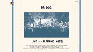 Dr. Dog - &quot;Broken Heart&quot; (Full Album Stream)