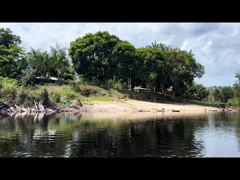 CONHEÇA TAUARI: COMUNIDADE INDÍGENA LOCALIZADO NO RIO UNEIUXI AMAZONAS 