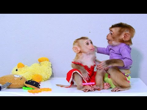 Wow, Cute Charly is taking the best care of Sakana