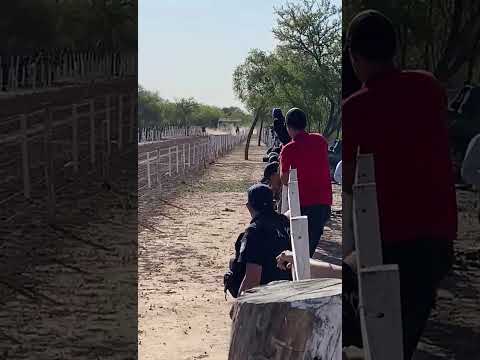 carreras de caballos en campo gallo santiago del estero hípico el peregrino denle like