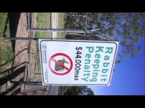 The Bicentennial national trail  Cullendore border  The Rabbit proof fence