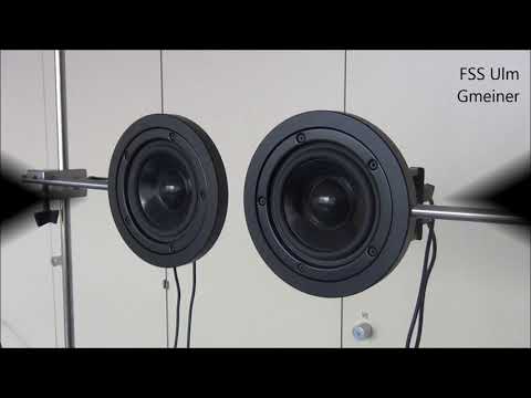 Akkustische Interferenz