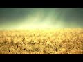 Shawn Smith  - A Little Something By Your Side
