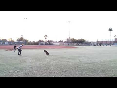 #Bsmiley and Lil' B puttin' in work!