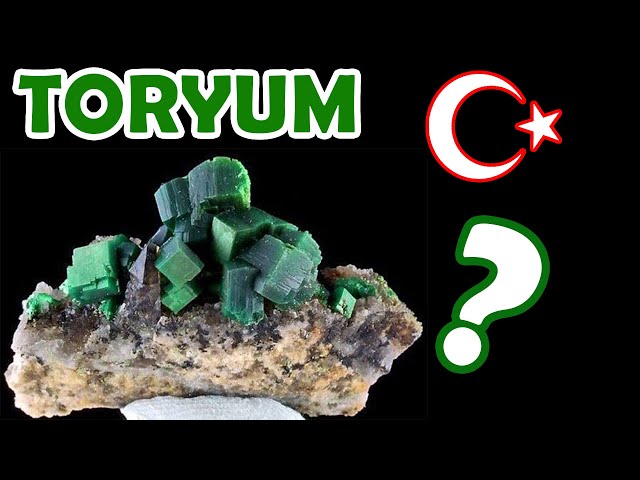 Video Pronunciation of arik in English Video Pronunciation of arik in English