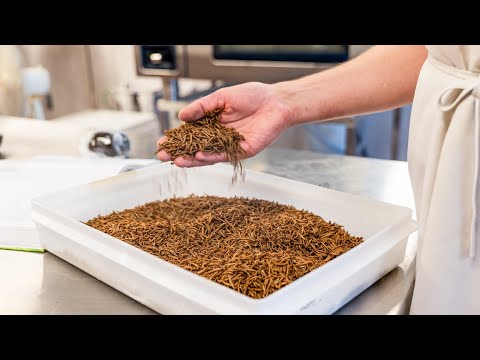 Mealworms on the Menu: Food Systems PhD student researches insects as a sustainable protein source