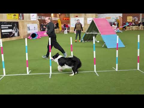 Bing Agility Kupa - 2022.04.16
