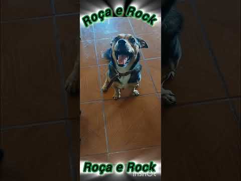 sigam no Tiktok Roça e Rock!#Santo Antônio das Missões #Missões #coisasdosul#eusoudosul#roçaerock