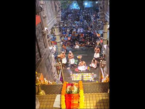 Today's visuals of the 18 holy padi puja in Sabarimala Sanidhanam for our beloved Lord Ayyappa Swamy