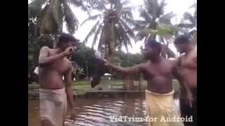 Local Boys from Kerala in Action