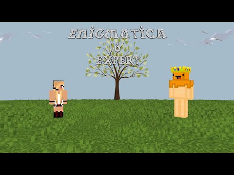 Enigmatica 6 Expert Ep 4: NOT THE BEES!