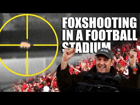 Foxshooting in a Football Stadium Foxshooting in a Football Stadium