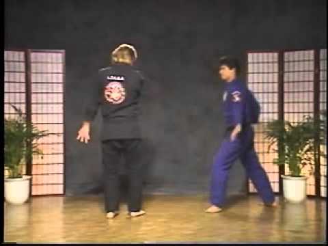 KENPO 17-PRANCE OF TIGER(G.Master Larry Tatum)
