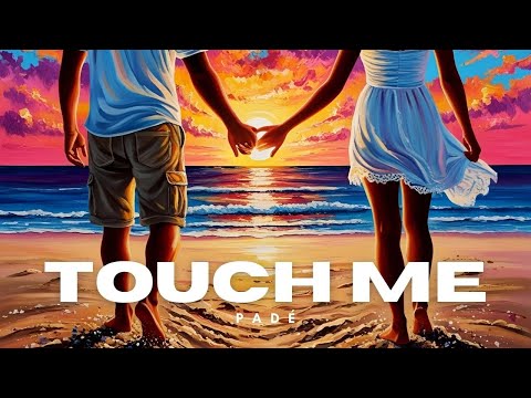Padé - Touch Me | Cover (Visualizer)