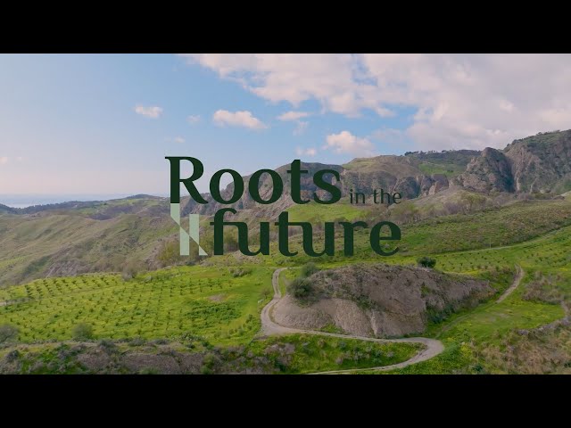 imagen-video-thefoodtech