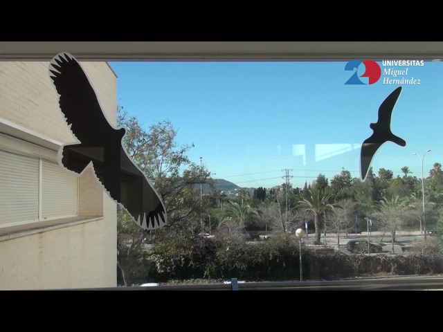 Vídeo relacionado con BOAO 20 Calcomanías de Ventana de Anticolisión Pegatinas de Ventana en Forma de Pájaros Pegatinas de Ventana de Alerta de Aves para Prevención de Personas y Aves Golpes en Ventana Accesorios Fiesta