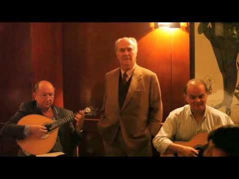 Ensaios, Manuel Cardoso de Menezes, "Fado Salvação"