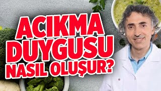 Acıkma Duygusu Nasıl Oluşur? Detoks Sistem Uyarıcısı Nedir? | Doktor Fitt