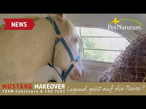 MUSTANG MAKEOVER 2022 - Legend zieht um😥 | Team Constanze News